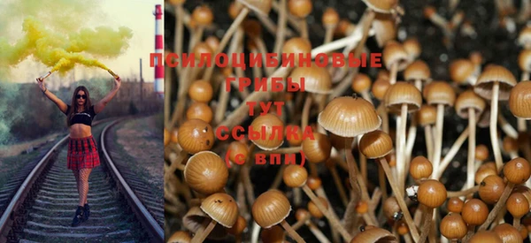 прущая мука Медвежьегорск